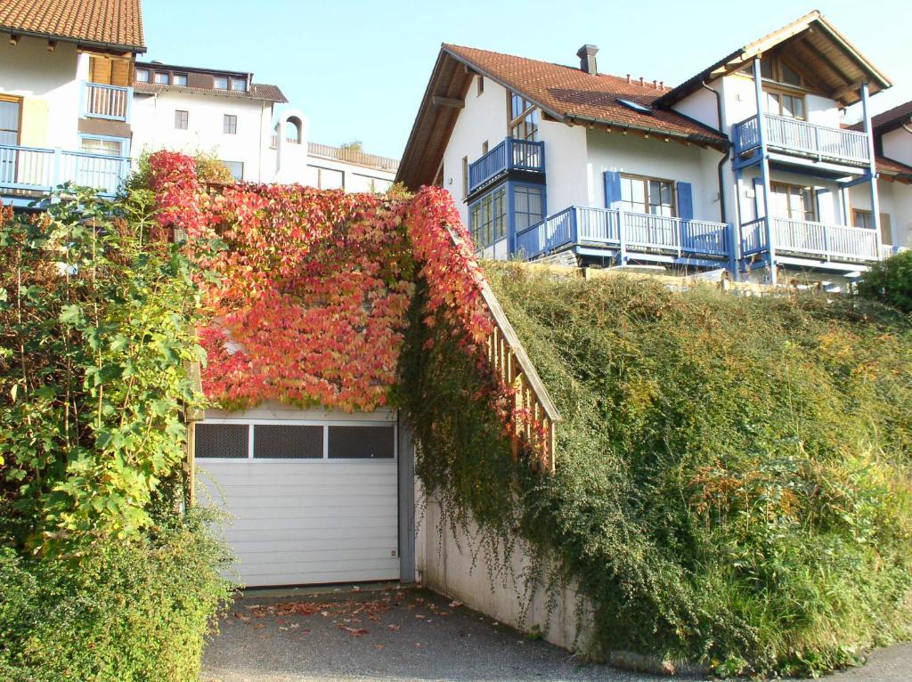 Ferienland Sonnenwald Apartment Schofweg Exterior photo